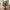 Monstera Kunstig Plante i Grøn PE Plastik fra House Nordic | B50xL50xH90 cm