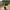 Monstera Kunstig Plante i Grøn PE Plastik fra House Nordic | B50xL50xH90 cm