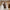 Nadi Pude i Brun/Beige Polyester fra House Nordic | B45xH45 cm