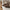 Nadi Pude i Brun/Beige Polyester fra House Nordic | B45xH45 cm
