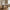 Nagano Spisebord i Sand MDF fra House Nordic | B100xL220xH75 cm