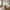 Nagano Spisebord i Sand MDF fra House Nordic | Ø120xH75 cm