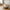 Noto Vasketøjspose i Off White/Brun Bambus & Polyester fra House Nordic | L40xB30xH45 cm