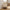Noto Vasketøjspose i Off White/Brun Bambus & Polyester fra House Nordic | L40xB30xH45 cm
