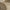 Nusa Udendørs Stol i Polyrattan fra Lexpo Living | Beige | 70x64x88 cm