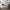 Olan Sovesofa – miljøbillede – fra Unique Beds, Home & Living