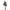 Oliventræ Kunstig Plante i Grøn PE Plastik fra House Nordic | L110xB100xH220 cm