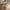 Paris Gulvlampe i Sort Stål fra House Nordic | L25xB25xH150 cm