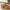 Passo Kurve i Natur Vandhyacinth fra House Nordic | 2 Kurve