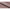 Perugia Sovesofa Dusty Rose Stof Click