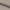 Plump Barstol Taupe Pu Drejefunktion Fodstøtte