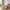 Prague Sofabord i Beige MDF fra House Nordic | B60xL80xH40 cm