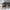 Roxby Spisebordsstol Sort Egefiner Stel Sort