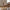 Rupert Spisebordsstol i Rust Stof & Ben i Krom Stål fra Unique Furniture | B50xD53xH84 cm