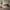 Sigmund Drip Daybed – miljøbillede – fra Unique Beds, Home & Living