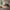 Sigmund Drip Daybed – miljøbillede – fra Unique Beds, Home & Living