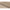 Sophia Spisebordsstol Beige Actona