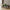 Spello Blomsterdisplay i Grøn PE Plastik & Polyester fra House Nordic | B42xL62xH105 cm