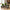 Spello Blomsterdisplay i Grøn PE Plastik & Polyester fra House Nordic | B42xL62xH105 cm