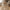 Stoense Lanterne i Beige Metal fra House Nordic | Ø24,5xH40 cm