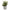 Succulent Kunstig Plante i Grøn/Grå PE Plastik med Cementpotte fra House Nordic | L24xB23xH33,5 cm