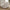 Taza Venstre Modul i Sand Polyester fra House Nordic | B95xL95xH77 cm