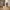 Vase i Brun/Beige Cement fra House Nordic | Ø20,5xH18,5 cm
