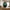 Vase i Mørkegrøn Glas fra House Nordic | Ø19xH23 cm