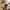 Viola Skål i Grå Stentøj fra House Nordic | Ø14,5xH7,5 cm