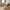 Vojens Spisebordssæt med Middelfart Spisebordsstole i Brun/Hvid MDF & Microfiber fra House Nordic | 4 Stole & 1 Bord