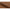 Waylor Spisebordsstol Camel Actona