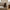 Zaria Pude i Brun Polyester fra House Nordic | B45xH45 cm