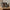 Zoe Toilettasker i Sort Polyester fra House Nordic | 2 Toilettasker