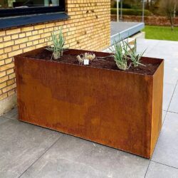 50x75 cm