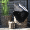 Caor kurve i naturflet1