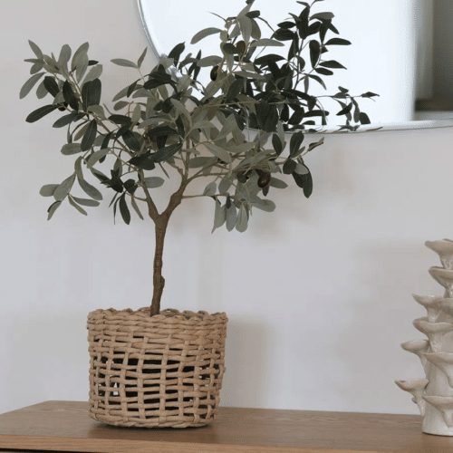 Oliventræ - Kunstig Plante Fra House Nordic | PE Plastik - H:61 cm