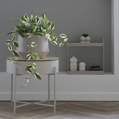 Voksblomst - Kunstig Plante i Grøn Fra House Nordic | PE Plastik - H:33 cm