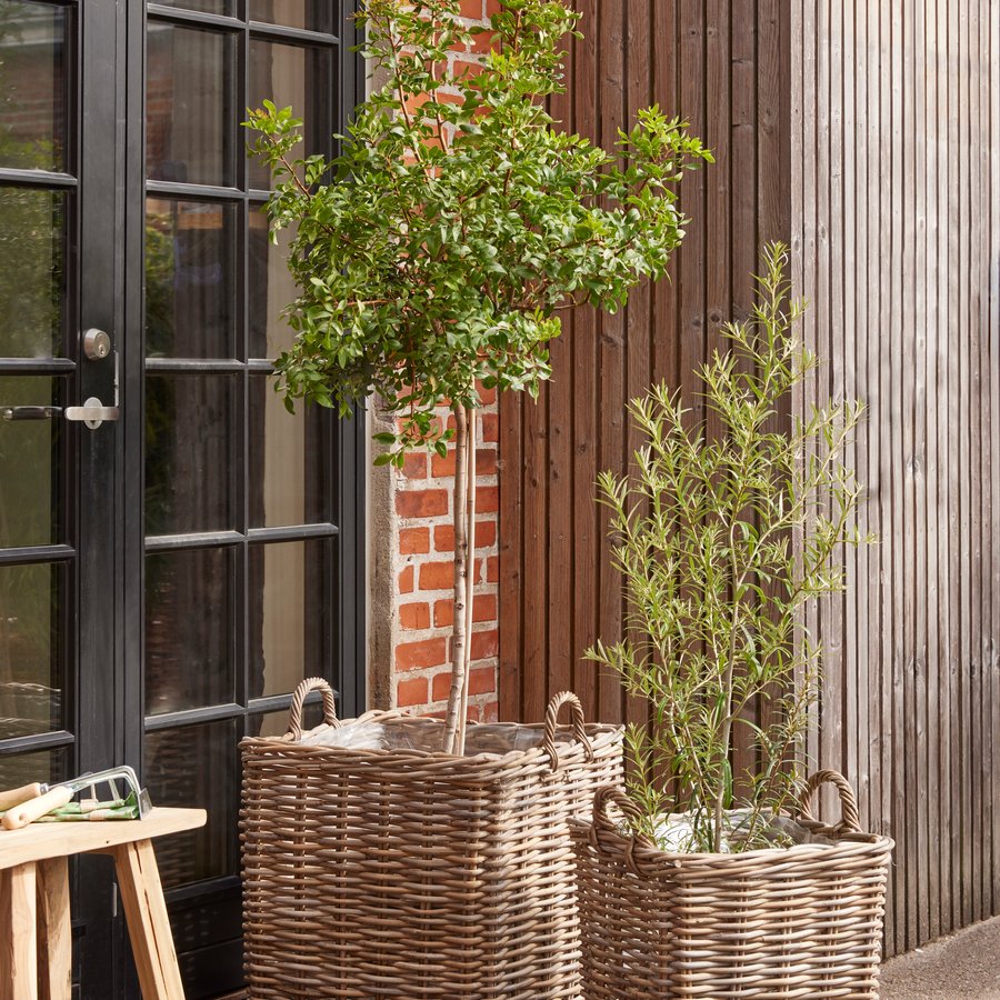 London Kurvesæt Gråvasket Kubu Rattan Sæt