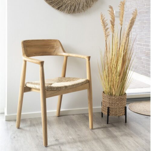 Antas Planteskjuler I Naturflet Fra House