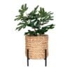 antas-planteskjuler-i-naturflet-fra-house-nordic-265x28-cm-9001117-4 Antas Planteskjuler I Naturflet Fra House