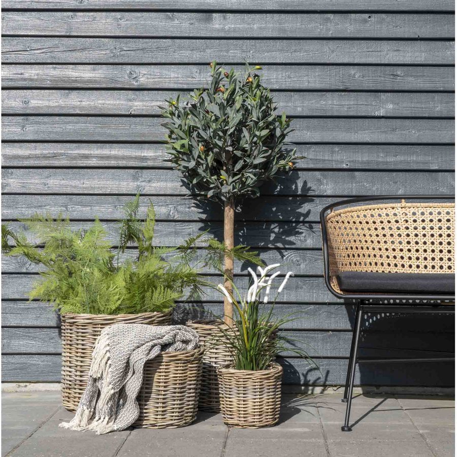 Cort Plaid I Fra House Nordic