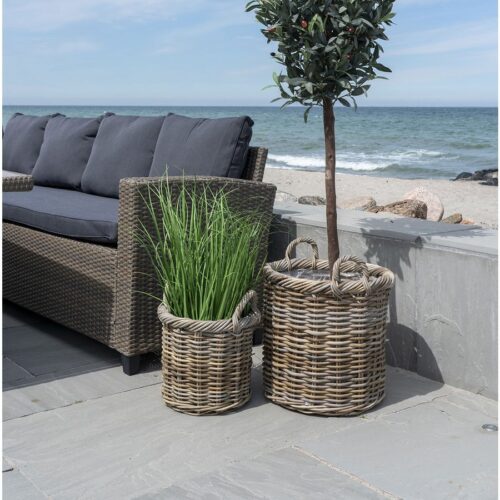 Gili Kurve I Naturflet Fra House