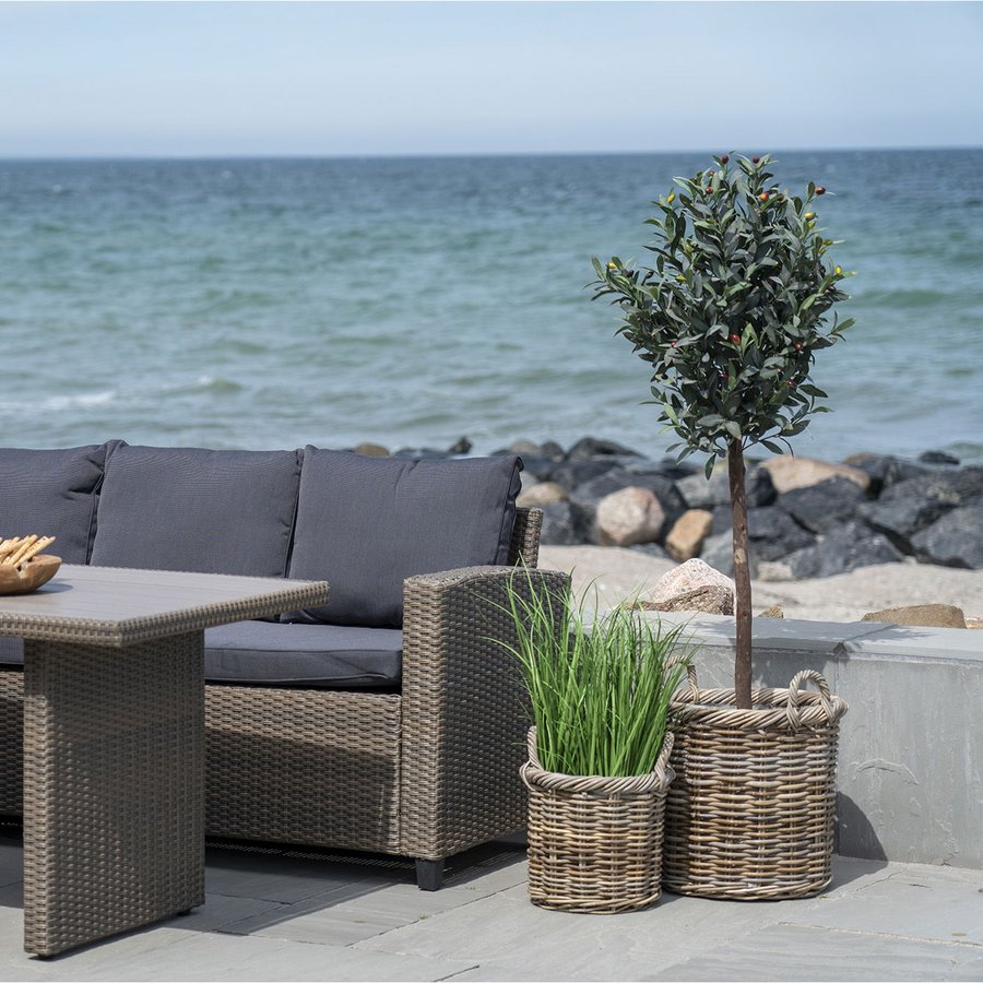 Gili Kurve I Naturflet Fra House