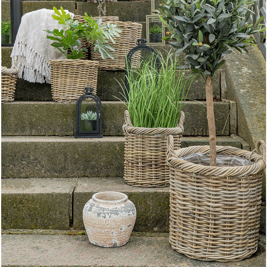 Gili Kurve I Naturflet Fra House