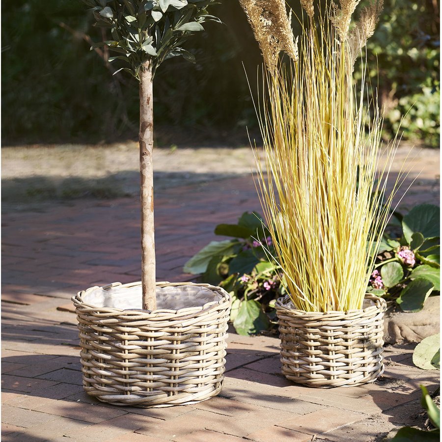 Kalak Kurve Af Naturfarvet Rattan |