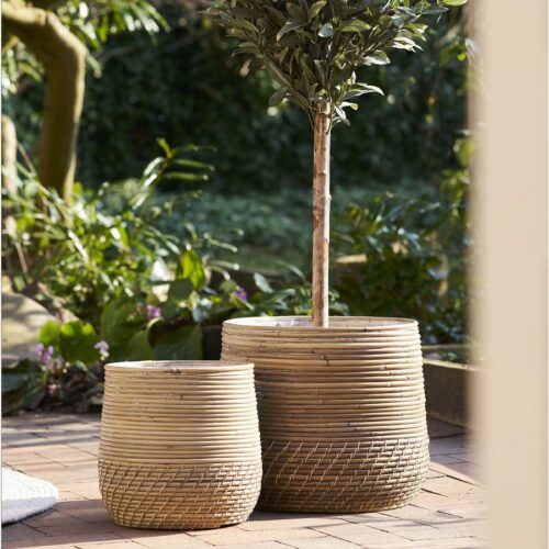 Moro Kurve Af Naturfarvet Rattan |