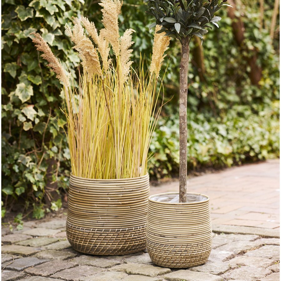 Moro Kurve Af Naturfarvet Rattan |