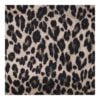 Ava Mulepose Leopard