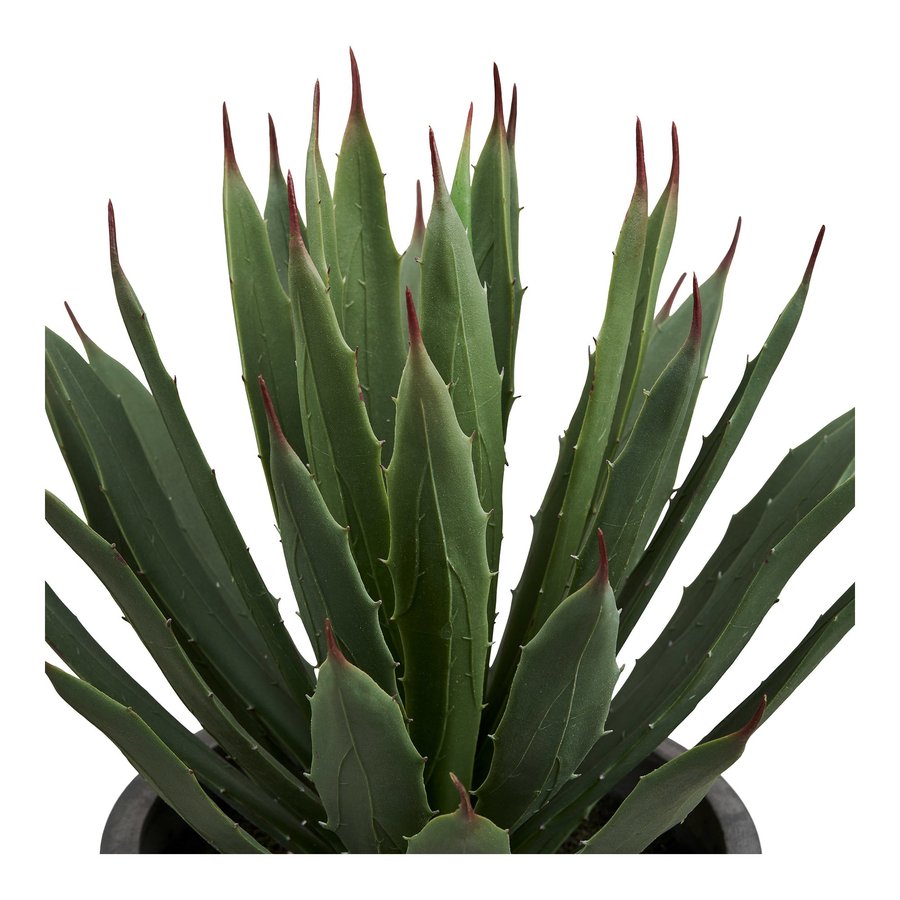 Agave Kunstig Plante i Grøn/Grå PE Plastik med Potte fra House Nordic | L32xB31xH41 cm - Billede 5