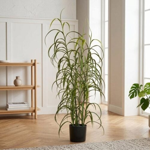 Græs Plante i Grøn fra House Nordic | 36x36x89cm - Billede 1